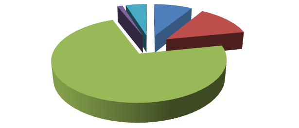 Elaborazione grafica Almalaurea