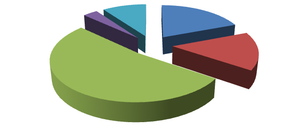 Elaborazione grafica Almalaurea