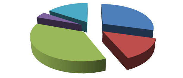 Elaborazione grafica Almalaurea