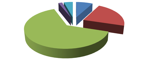 Elaborazione grafica Almalaurea