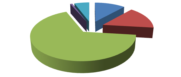 Elaborazione grafica Almalaurea