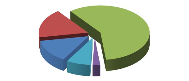 Elaborazione grafica Almalaurea