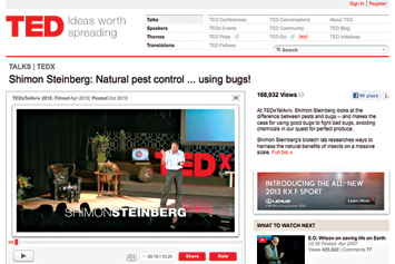 Shimon Steinberg: Natural pest control ... using bugs!