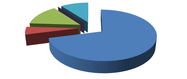 Elaborazione grafica Almalaurea