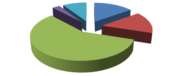 Elaborazione grafica Almalaurea