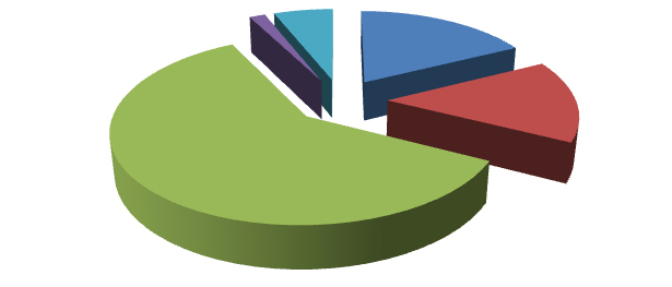 Elaborazione grafica Almalaurea