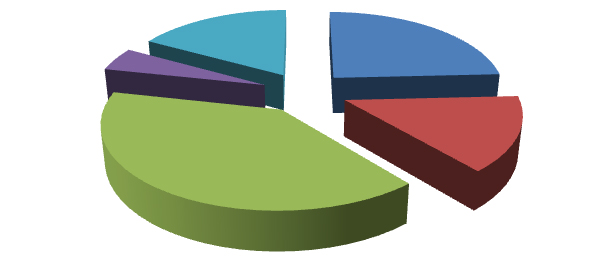 Elaborazione grafica Almalaurea