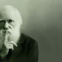 foto darwin